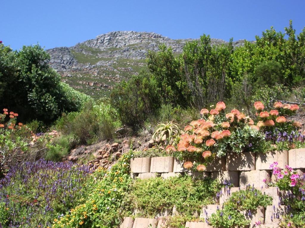 Port Of Call Simonʼs Town Buitenkant foto